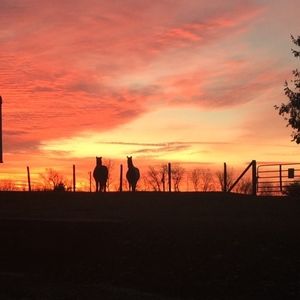 Meet your Posher, Leslie